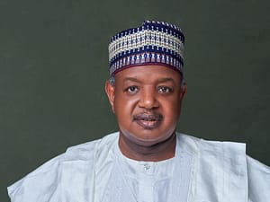 NESG: Private Sector Key to Nigeria’s Growth– Bagudu