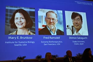 US-Japanese Trio Win Nobel for Immunity Research