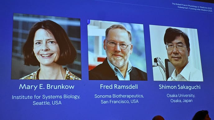 US-Japanese Trio Win Nobel for Immunity Research