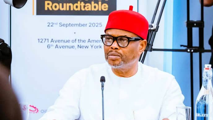 Nigerian Minister Nnaji Quits Over Forgery Scandal