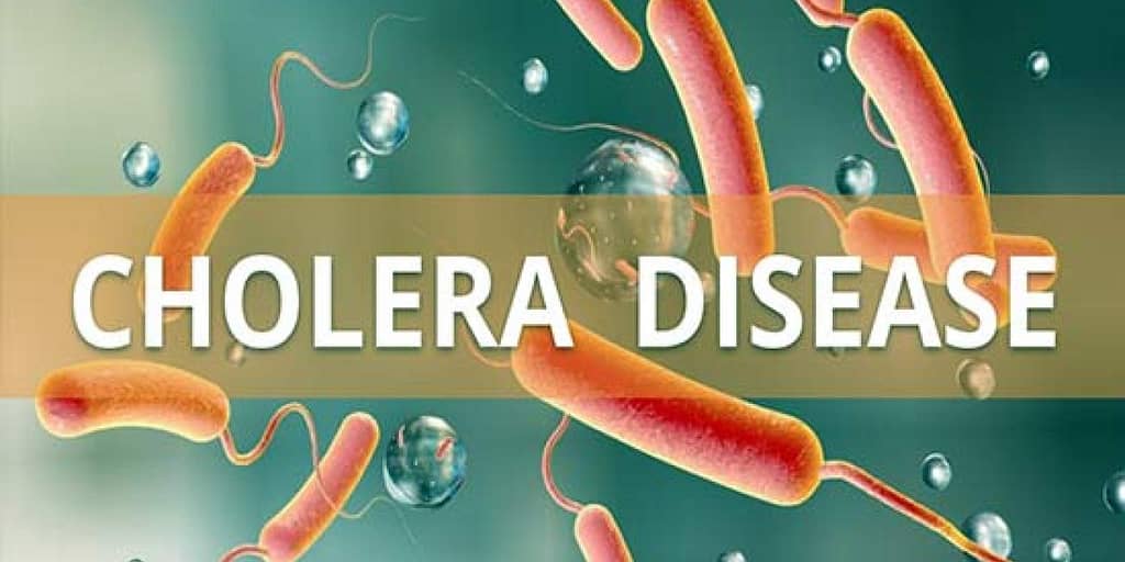 Cholera: No Confirmed Cases in Yobe