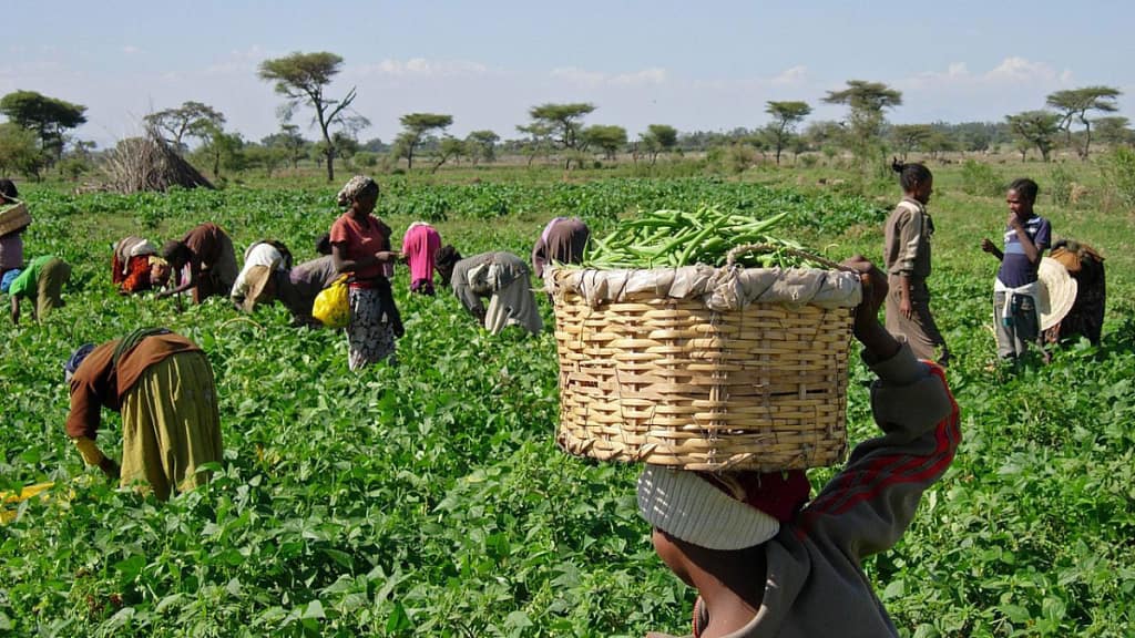 Budget_agriculture (News Central TV)