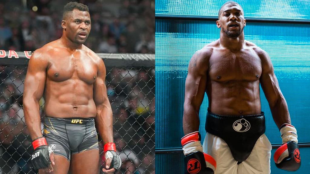 Cameroonians Boast AJ Will Pay for Eagles' AFCON Win in Anticipated Showdown Against Ngannou