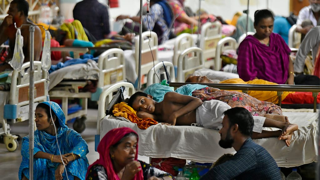 Climate Change Drives 20% of Dengue Cases Globally, Study Reveals