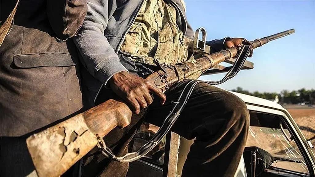 Homes Torched, Many Injured and Abducted as Bandits Attack Kaduna Community