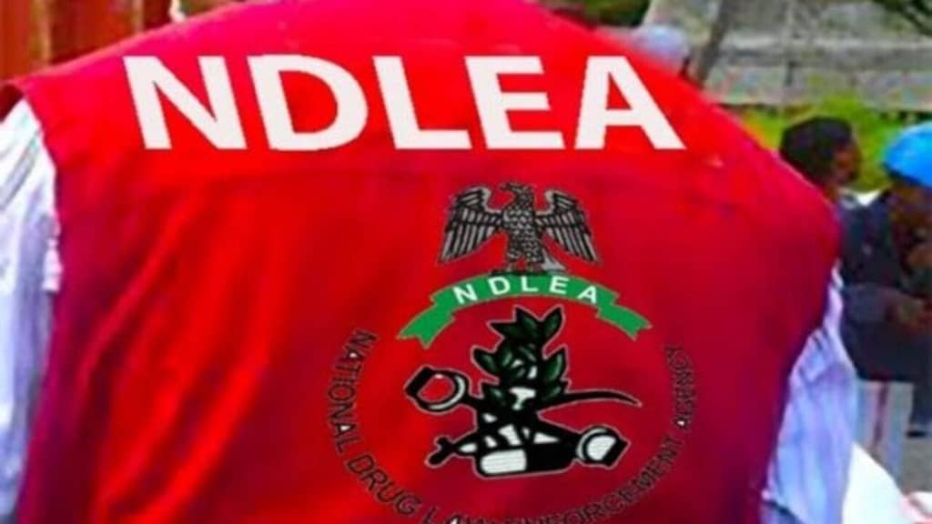 NDLEA Alarmed by 3 Million Drug Addicts in North West
