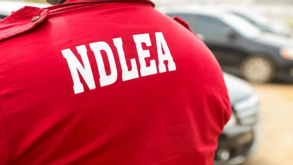 Three NDLEA Agents Wounded in Ambush During Abuja Operation