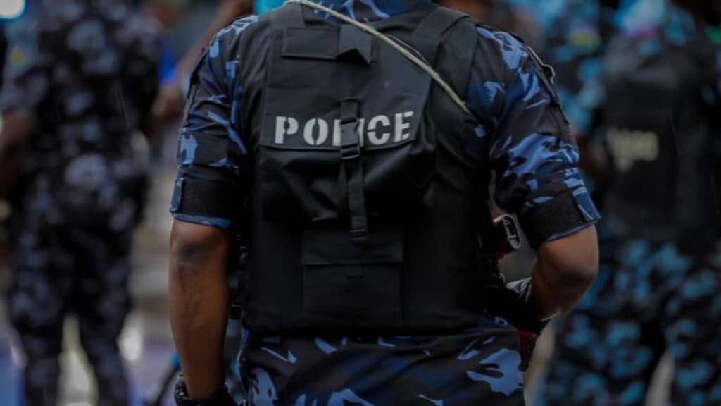 Nigerian Police (News Central TV)