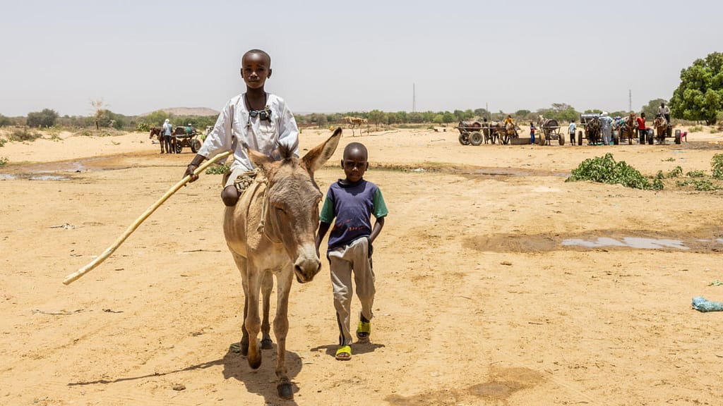 Surge in Sudanese Refugees to Europe, Aid Dwindles