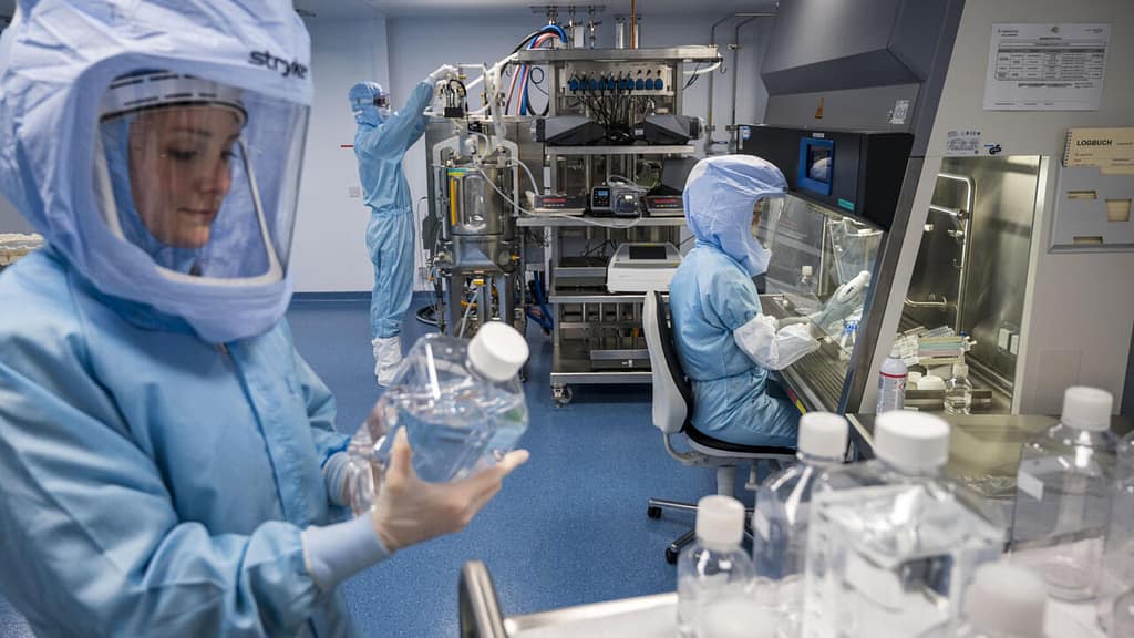 WHO Pandemic Treaty Talks Hit Crunch Point Ahead of Final Deadline
