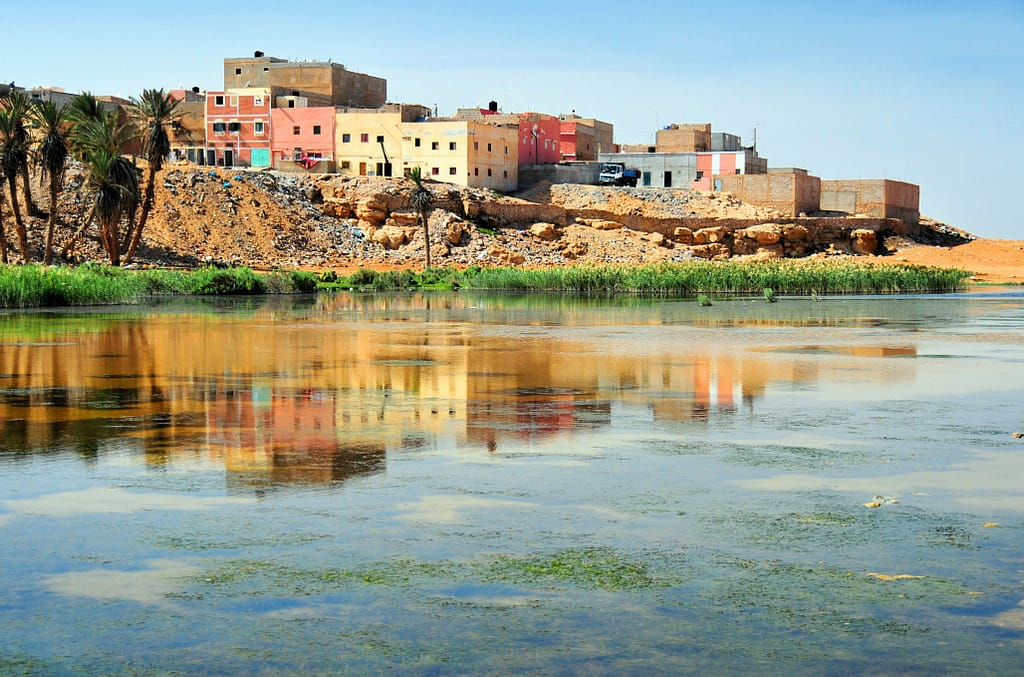 Algeria Condemns US Support for Morocco Over Disputed Western Sahara