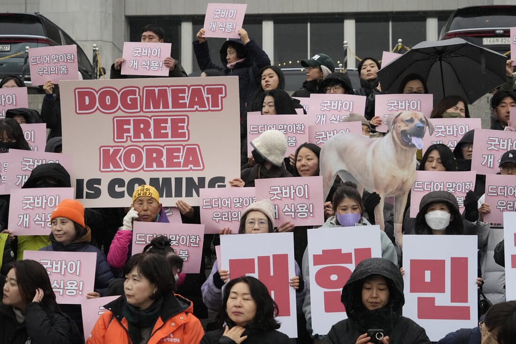 South Korea Passes Bill Banning Production and Sale of Dog Meat
