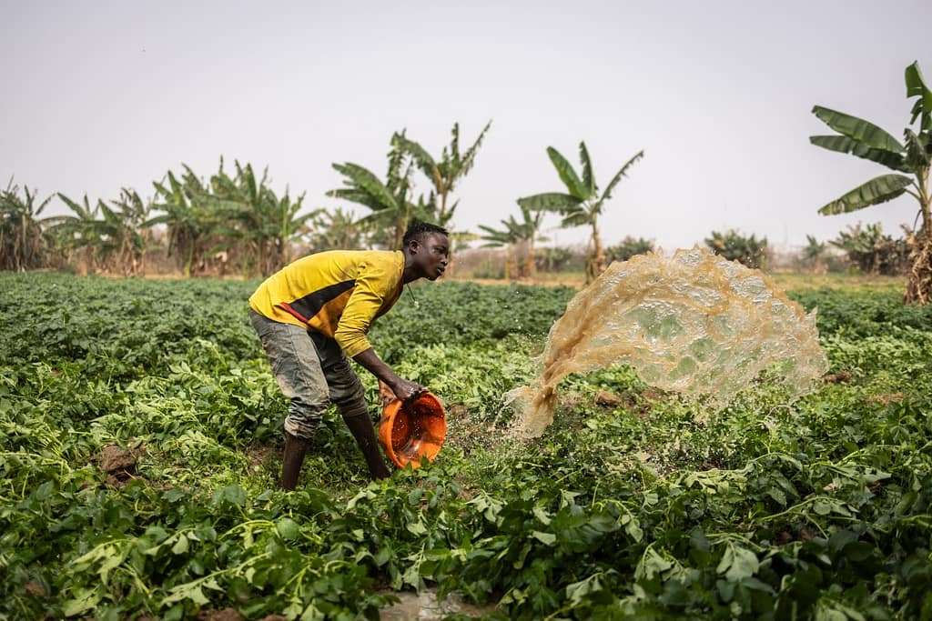 Nigeria Begins Review of Agricultural Laws to Boost Food Production