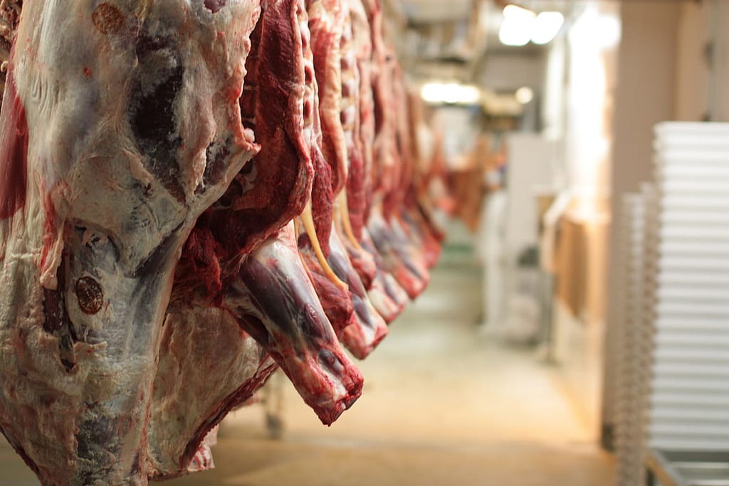 Uganda Lifts Meat Sale Ban Amid Foot-and-Mouth Disease Outbreak