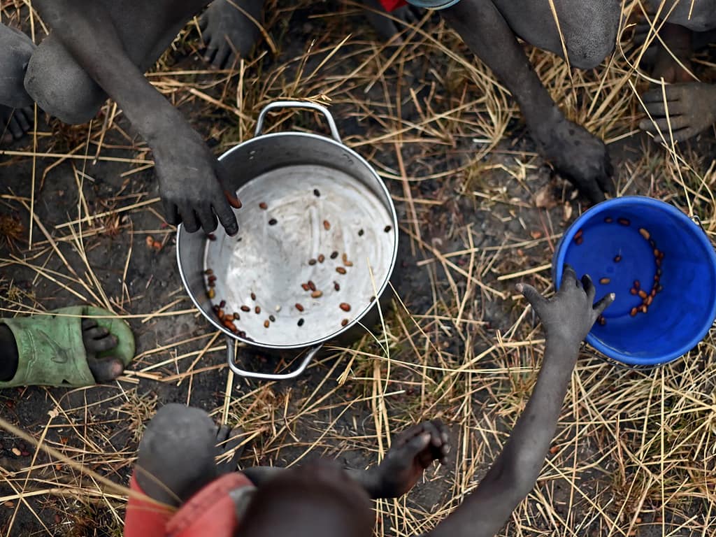 15 Nations Unite to Address Food Crisis in Sudan