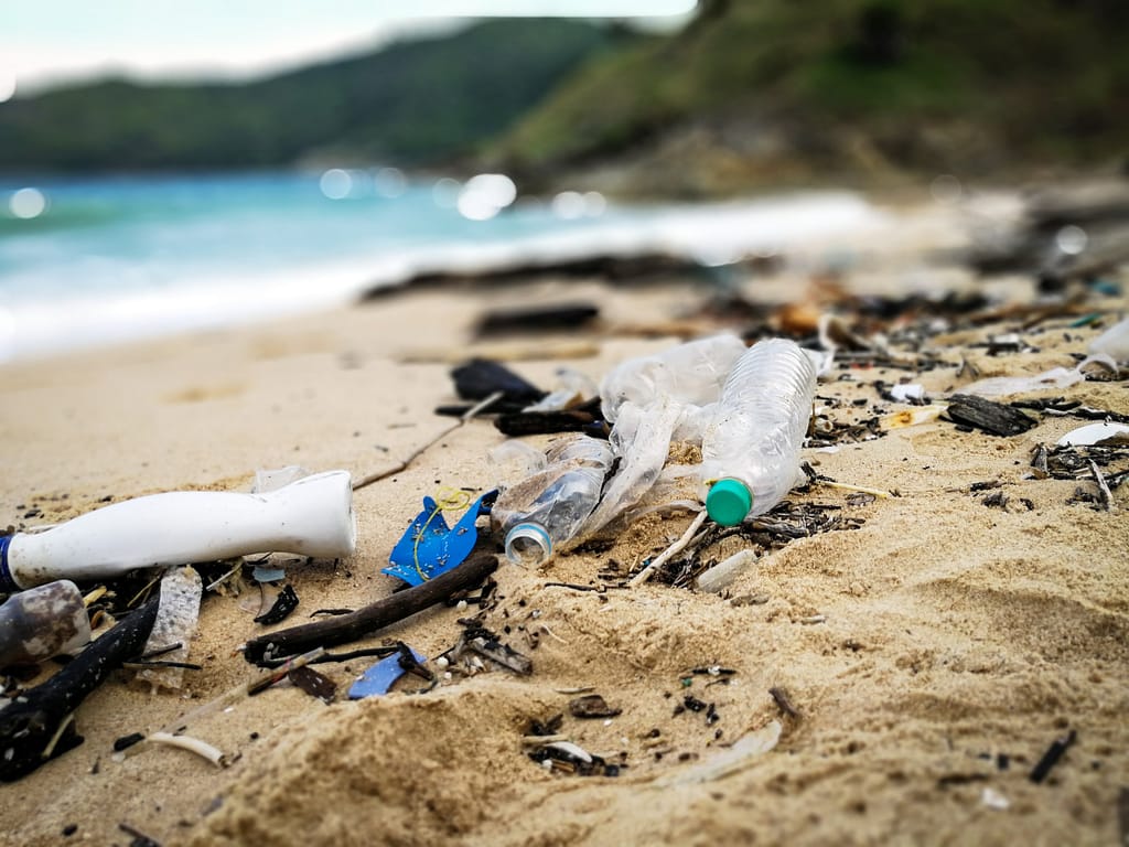 Plastic Wastes (News Central TV)