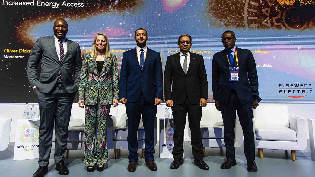 African Energy Leaders Urge Government-Private Collaboration