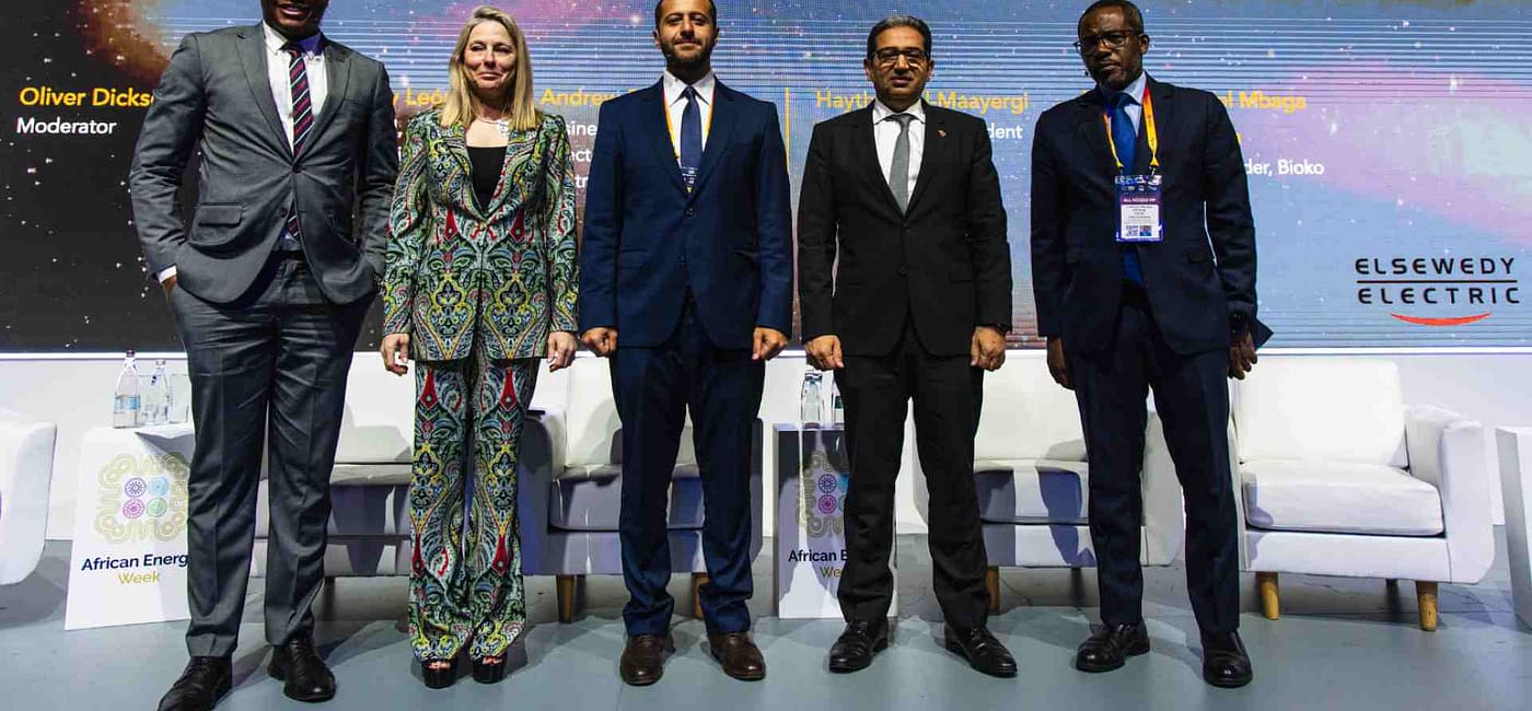 African Energy Leaders Urge Government-Private Collaboration