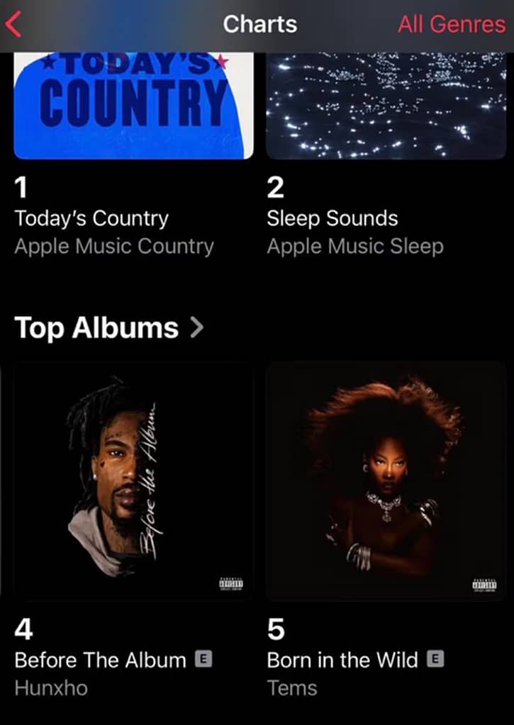 Tems Achieves Milestone on Apple Music US with Debut Album