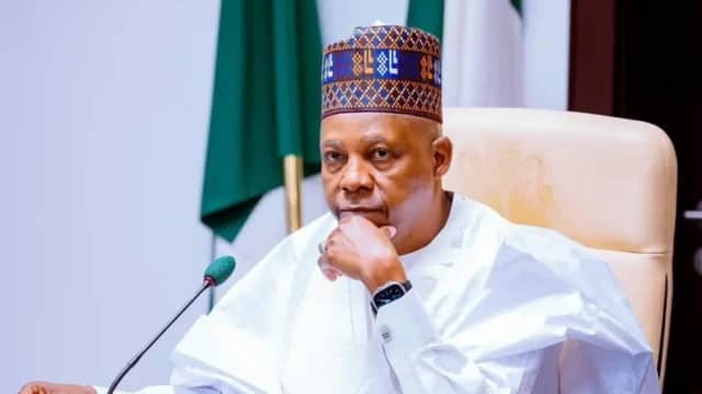 Kashim Shettima (News Central TV)