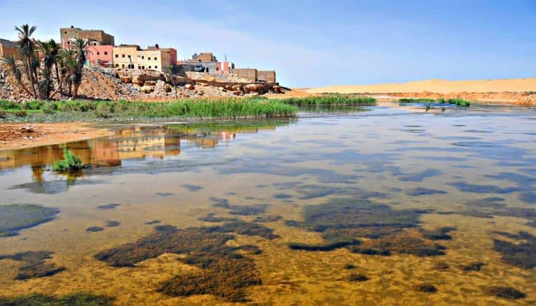 ECJ Rules Out Inclusion of Western Sahara in EU-Morocco Trade Deals