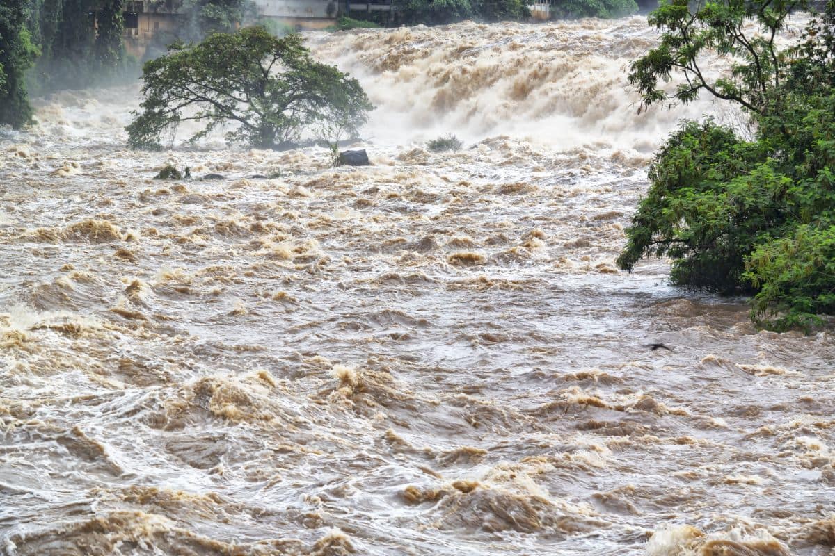 Floods (News Central TV)
