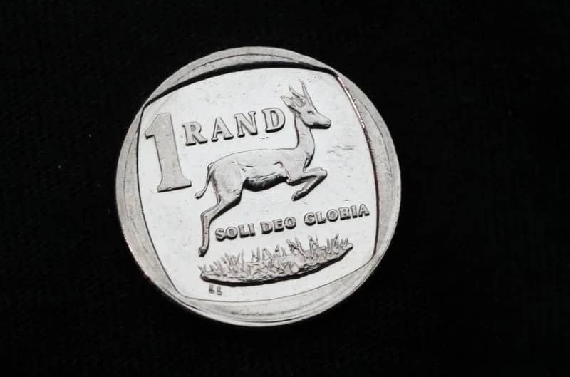 South Africa to Present New Budget After Scrapping VAT Hike