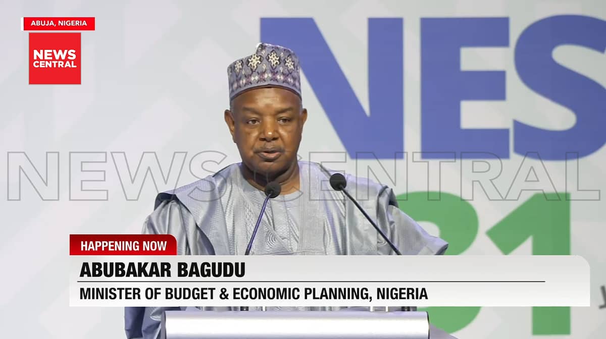 NESG: Private Sector Key to Nigeria’s Growth– Bagudu
