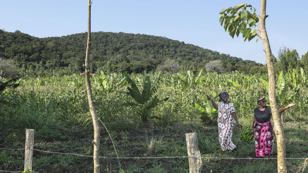 Kenya Joins Global Race for Rare Earths